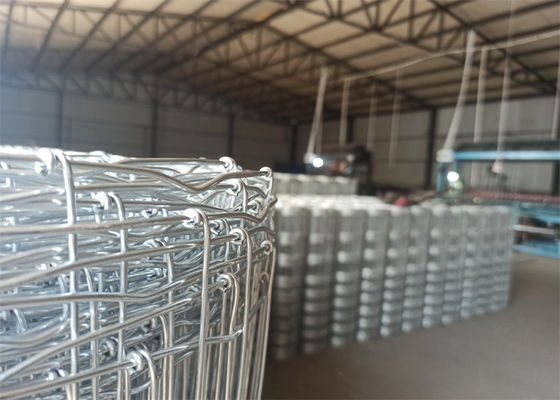 Hot Dipped Galvanized Heavy Duty Field Fence 8 Foot Field Fence Types